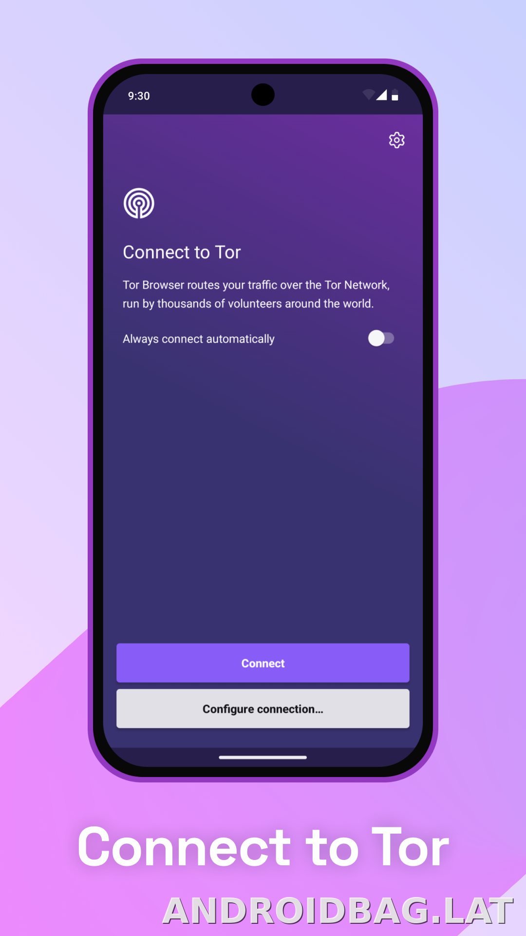 Tor Browser скриншот 1